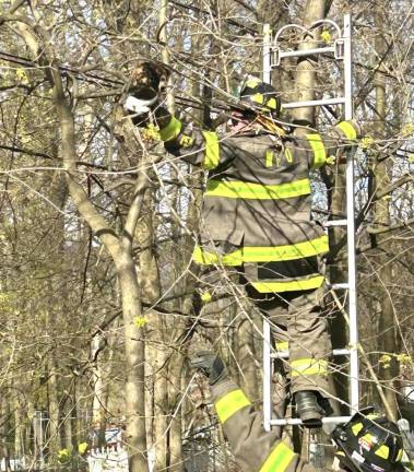 The cat was rescued by Woodbury firefighter Connor Sheehan.