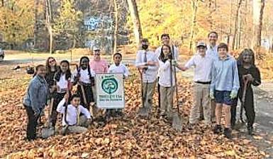 Redbud, Magnolia and Malus Robinson trees planted in Tuxedo Park, aided by state grant