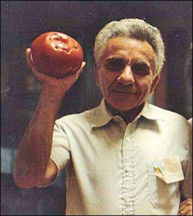 A celebration of life