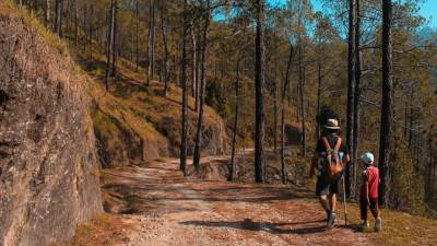 Tuxedo. Hike the Townsend Trail