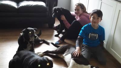 Front: Harley (left), Bugsy (right) being pet by Blake. Back: Hope (left) and Rambo (right) being pet by Keira. Harley and Rambo are the newest additions.