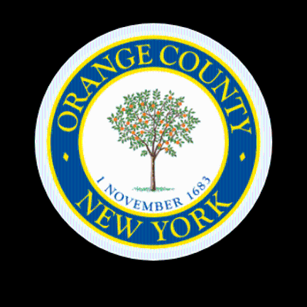 Orange County Legislature District 21: Election results