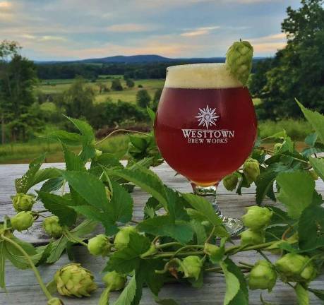 Westtown Brew Works is one of five local breweries on Dirt Magazine's Brew Hop on June 9.
