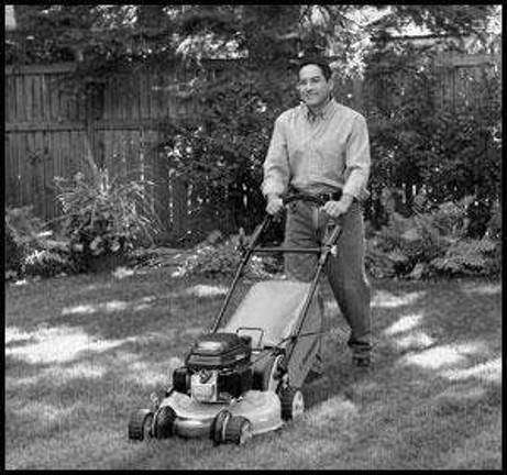 Tips for a lush, grean and healthy lawn