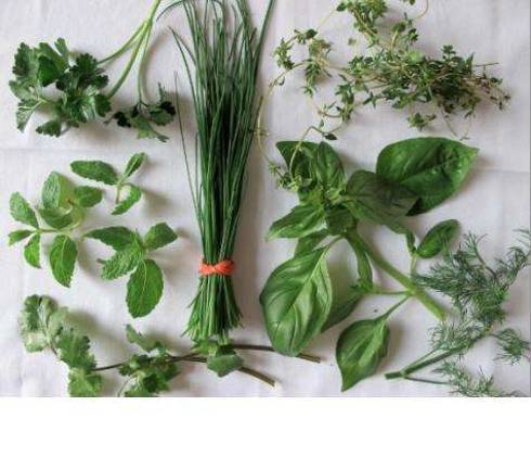 'Tea Time' is theme of this year's Herb Day