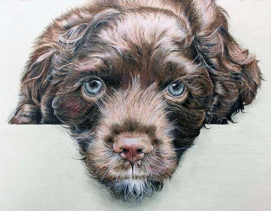 Polina Chizhov earned the Grand Prize at the Congressional Art Show award ceremony for this work, entitled "Puppy."