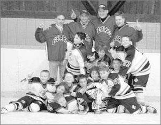 Hockey Squirts win