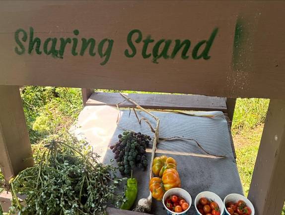 The new sharing stand for surplus produce at Common Ground Community Garden.