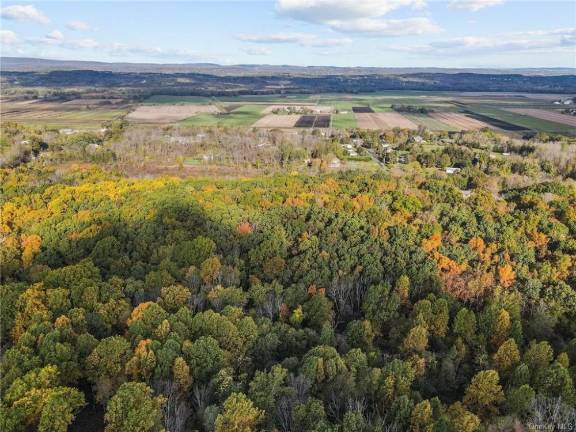 Woodland retreat to create the longed for life