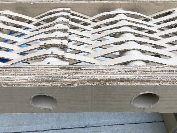 Students develop pedestrian bridge designs for class project
