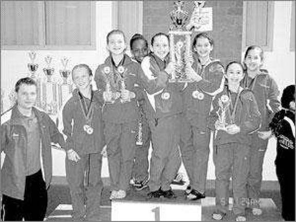 Gymnastic team finishes second
