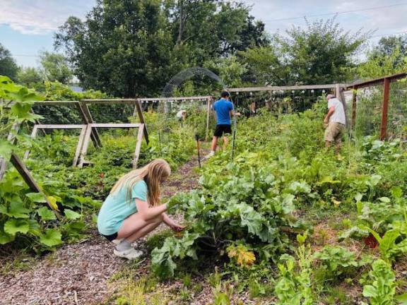 Common Ground Community Garden in Greenwood Lake, N.Y., took second place for Best Community Garden. (Photo provided)