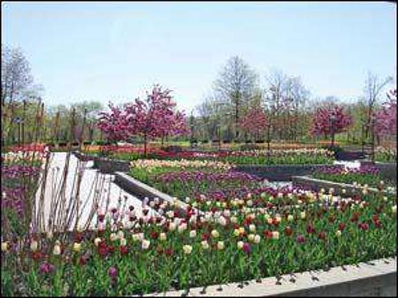 Arboretum to host plant sales