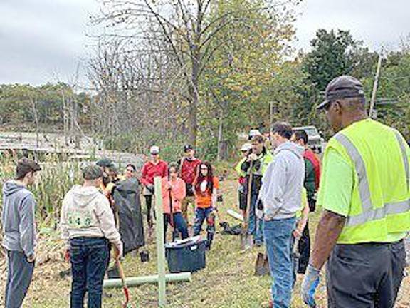 New trees  130 of them  grow in Monroe