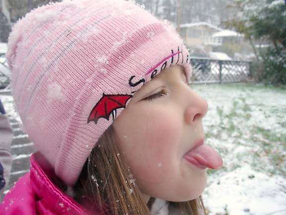 The Monroe Downtown Revitalization Committee will host Winter Funfest on Saturday, Feb. 22, from 11 a.m. to 4 p.m., at the ice rink adjacent to the commuter parking lot.