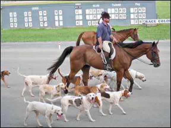 Dog Day Derby coming to historic track on Sunday, Aug. 29