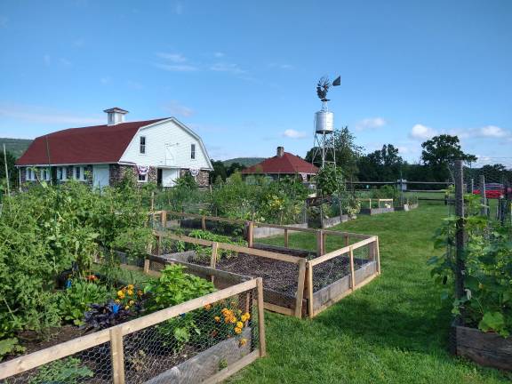 Wallisch Homestead Community Garden took first place for Best Community Garden. (Photo provided)