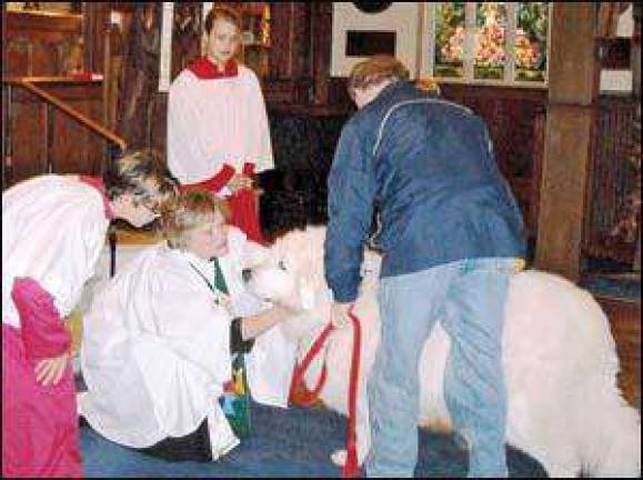 St. Mary's-In-Tuxedo Church will host Blessing of the Animals' Service on Oct. 3