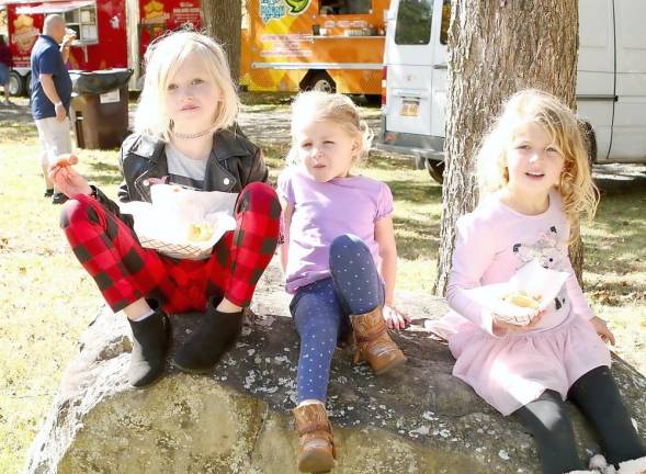 The Food Truck Festival attracted people of all ages.