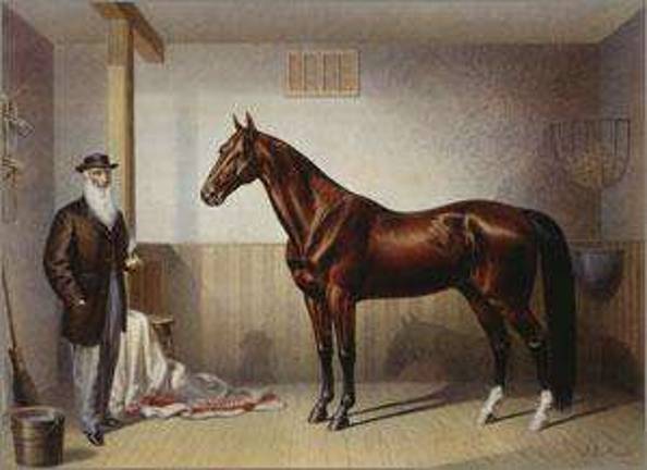 Currier & Ives goes to Washington