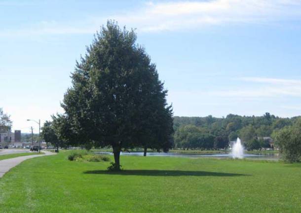 Crane Park, which is also known as the Millponds, is approximately 1.5 miles in circumference, around two ponds in the Village of Monroe. Great for walking, jogging or dog walking.