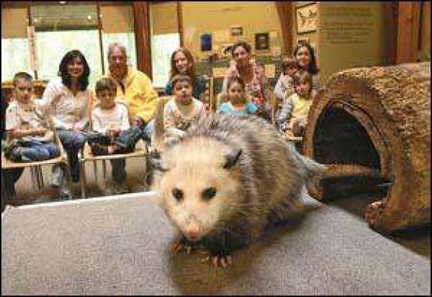 Open Days' at Wildlife Education Center