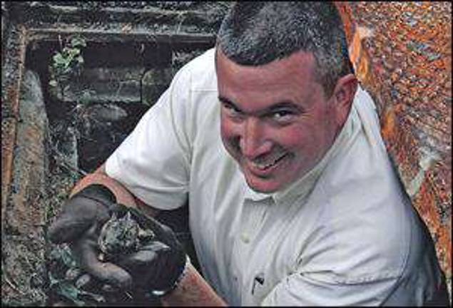 Bunny's rescue from sewer basin is a reminder of the goodness of people