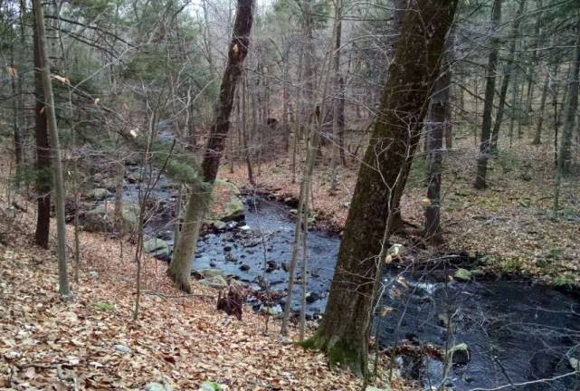 Photo provided by OCLT This photograph shows Warwick Brook, a portion of which is situated within Orange County Land Trust's 961-acre conservation easement near Sterling Forest State Park in Tuxedo.