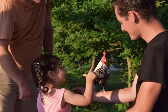 Johnny Gidney shows Eric to a girl at Stanley-Deming Park in Warwick on July 22. The girl’s parents signed the petition opposing the rooster ban.