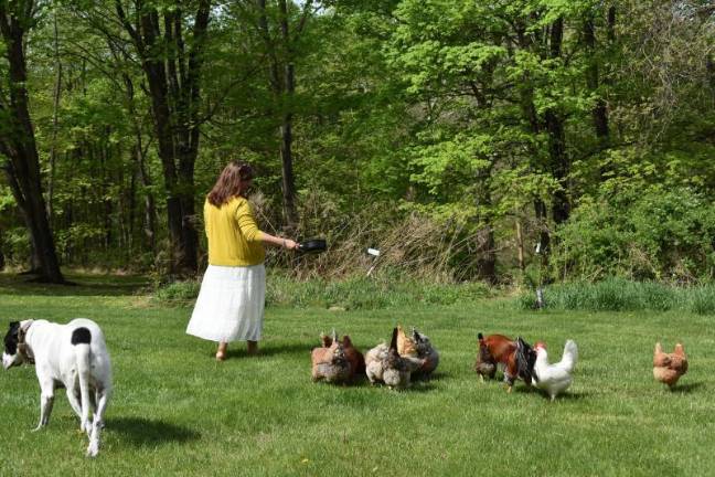 Gilda Burke with her flock in the Town of Warwick. She has a waiting list 15 deep for her eggs.