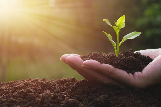 Soil is the foundation of your garden