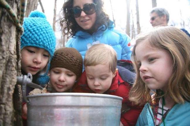 Source: www.hhnaturemuseum.org