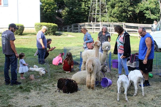 The petting zoo always attracts a crowd.