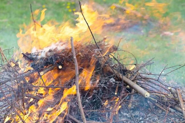 Brush burning banned through May 14