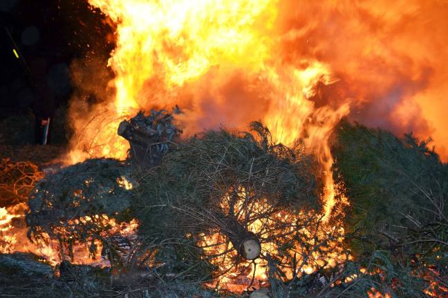 Recycled Christmas trees fuel bonfire in Tuxedo
