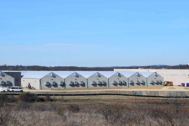 Some of the 12 total medical marijuana greenhouses at the manufacturing facility in Hamptonburgh.