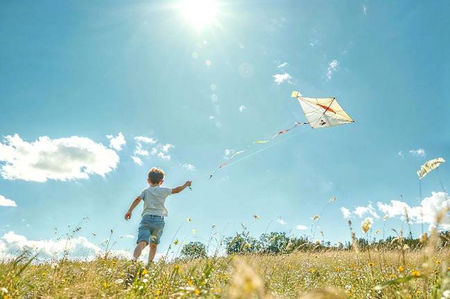 Access pollution forecasts