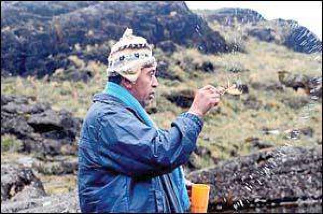 Sacred Paramo is archaeological group's meeting topic