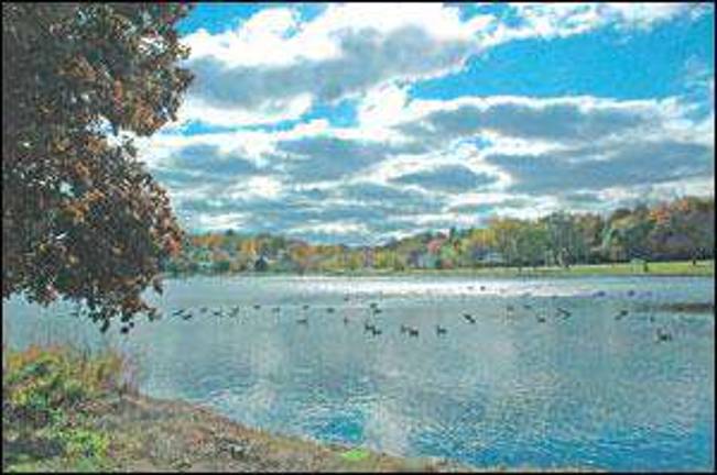 A fleeting afternoon