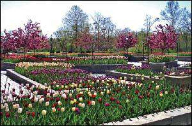Landscape design class to be hosted at arboretum