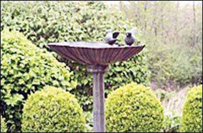 FLOCK TO Gardens OF GOSHEN