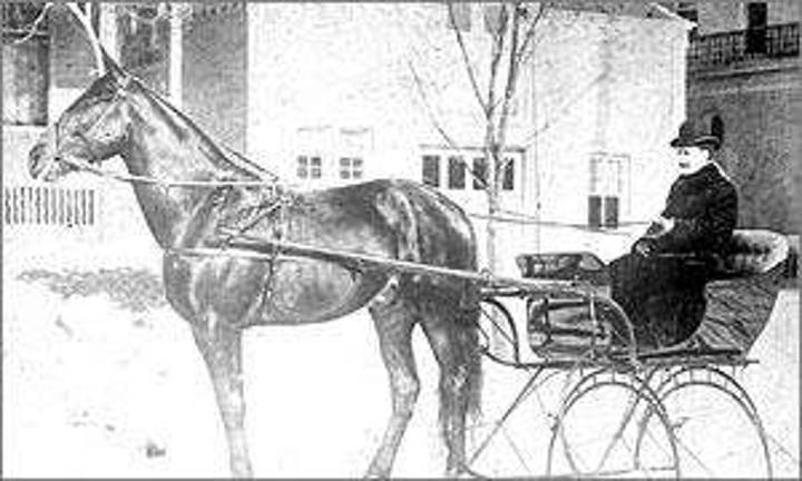 Be a winner and preserve the history of harness racing