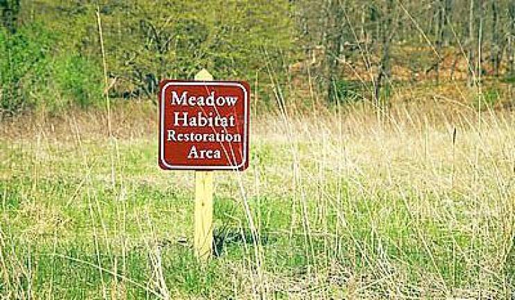 Residents in the Town of Tuxedo have initiated a program to restore essential meadowlands that harbor plant life essential for migrating birds and butterflies. The Butterfly Meadow is located at the intersection of Route 17 and 17A in Tuxedo. Provided photo.