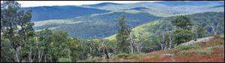 Palisades Interstate Park Commission honors 100th anniversary of the Harriman family gift