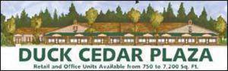 New businesses to open this fall