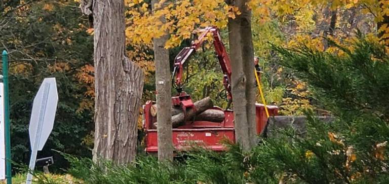 More logs come to the neighborhood.