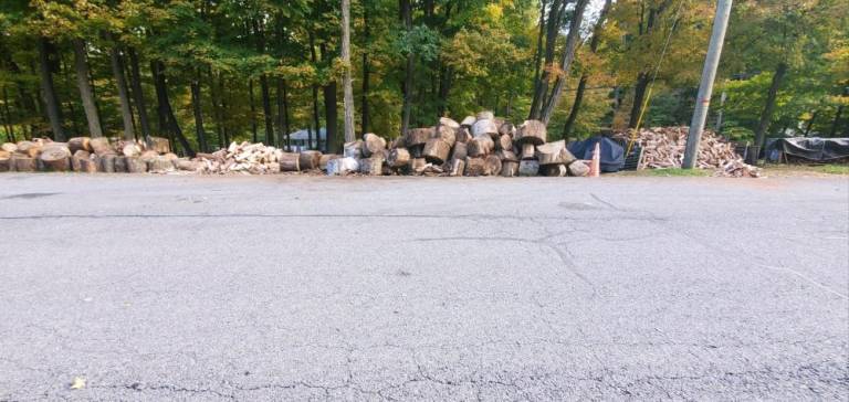 Piles of logs and cut wood abut the residential street.