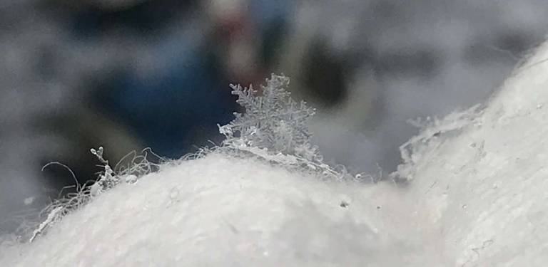 Ice crystals