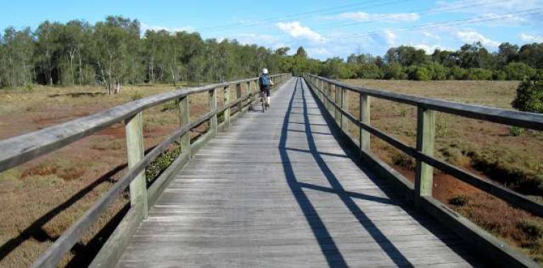 An example of an elevated walkway over a wetland, similar to what is proposed for the wetlands near the Harriman train station.