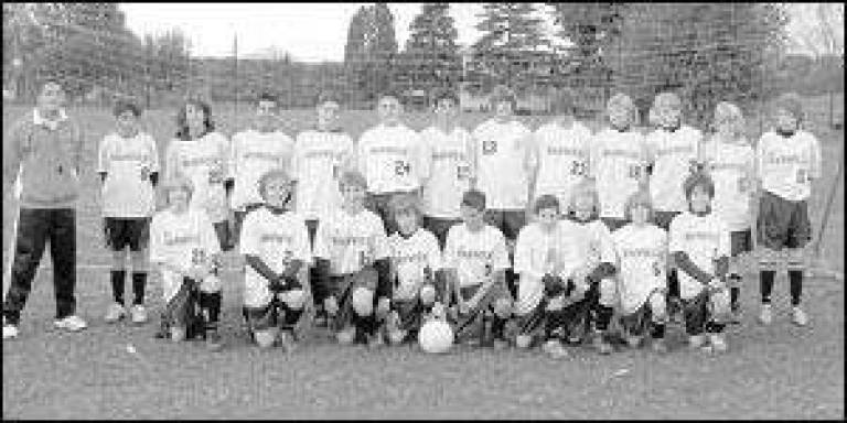 Modified Soccer - undefeated at 7-0-1